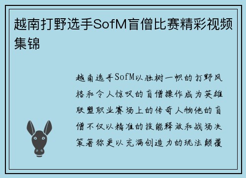 越南打野选手SofM盲僧比赛精彩视频集锦
